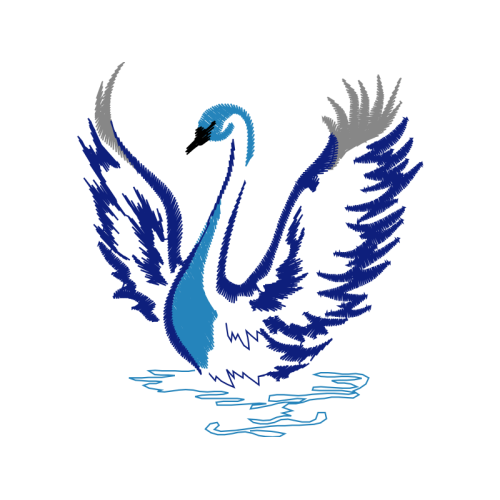 Ducks Animals Ducks Animals