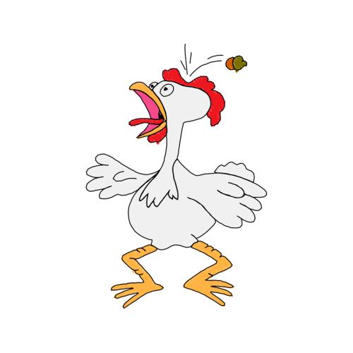 Ducks Animals Ducks Animals