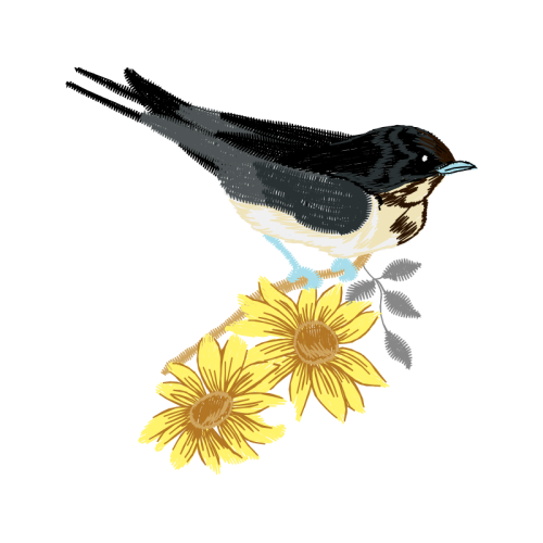 Eastern Bluebird Animals Eastern Bluebird Animals