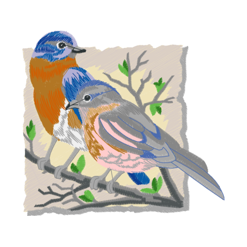 Eastern Bluebird Animals Eastern Bluebird Animals