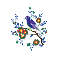 Eastern Bluebird Animals Eastern Bluebird Animals