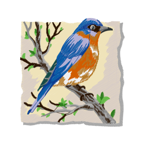 Eastern Bluebird Animals Eastern Bluebird Animals
