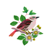 Eastern Kingbird Animals Eastern Kingbird Animals