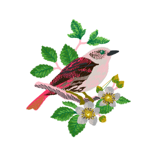 Eastern Kingbird Animals Eastern Kingbird Animals