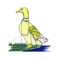 Eastern Meadowlark Animals Eastern Meadowlark Animals