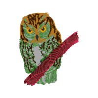 Eastern Screech Owl Animals Eastern Screech Owl Animals