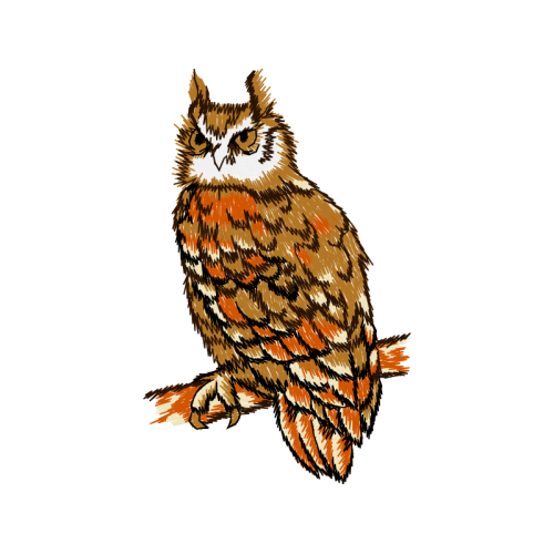 Eastern Screech Owl Animals Eastern Screech Owl Animals