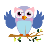 Eastern Screech Owl Animals