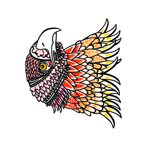 Eastern Screech Owl Animals Eastern Screech Owl Animals