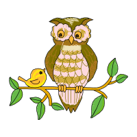 Eastern Screech Owl Animals Eastern Screech Owl Animals