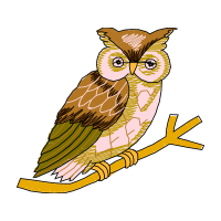 Eastern Screech Owl Animals Eastern Screech Owl Animals