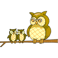 Eastern Screech Owl Animals Eastern Screech Owl Animals