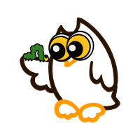 Eastern Screech Owl Animals Eastern Screech Owl Animals