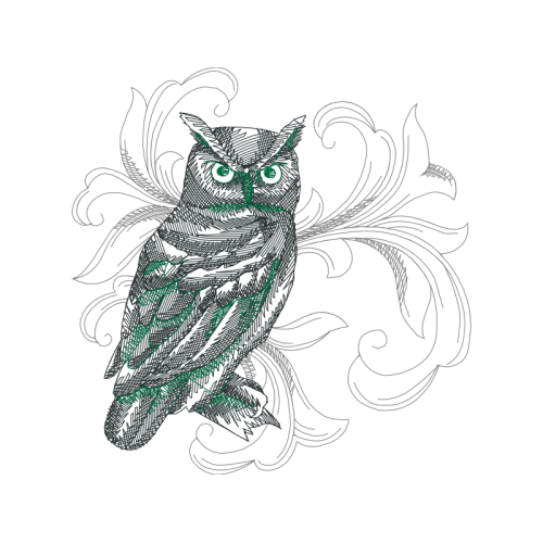 Eastern Screech Owl Animals Eastern Screech Owl Animals