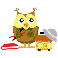 Eastern Screech Owl Animals Eastern Screech Owl Animals