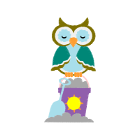 Eastern Screech Owl Animals