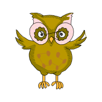 Eastern Screech Owl Animals Eastern Screech Owl Animals