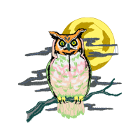 Eastern Screech Owl Animals Eastern Screech Owl Animals