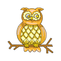 Eastern Screech Owl Animals Eastern Screech Owl Animals