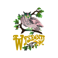 Eastern Screech Owl Animals Eastern Screech Owl Animals