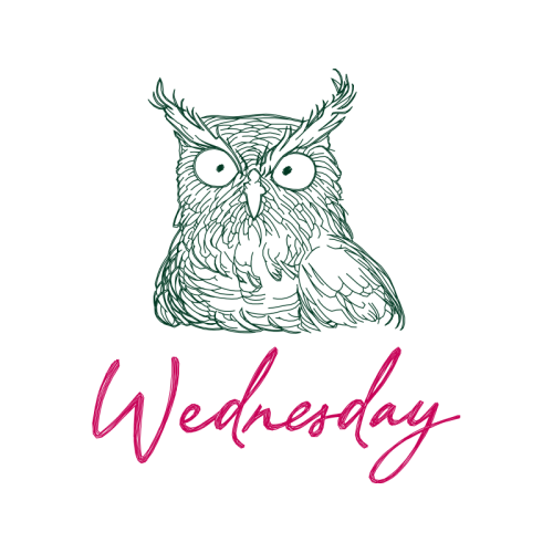 Eastern Screech Owl Animals Eastern Screech Owl Animals