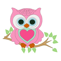 Eastern Screech Owl Animals