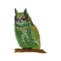 Eastern Screech Owl Animals Eastern Screech Owl Animals