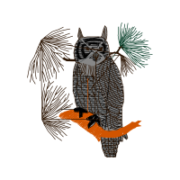 Eastern Screech Owl Animals Eastern Screech Owl Animals