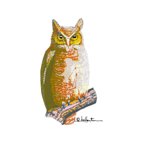 Eastern Screech Owl Animals Eastern Screech Owl Animals