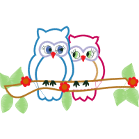 Eastern Screech Owl Animals