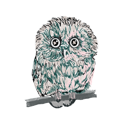 Eastern Screech Owl Animals Eastern Screech Owl Animals