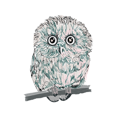 Eastern Screech Owl Animals Eastern Screech Owl Animals