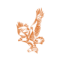 Elo7 Animals Elo7 Animals