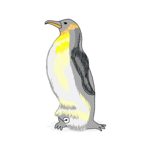 Emperor Penguin Animals Emperor Penguin Animals