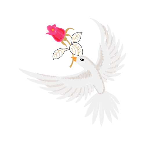 Epidendrum Animals Epidendrum Animals