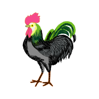 Etsy Animals Etsy Animals