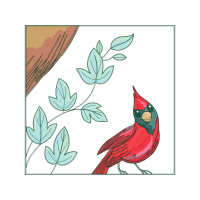 Evergreen Rose Animals Evergreen Rose Animals