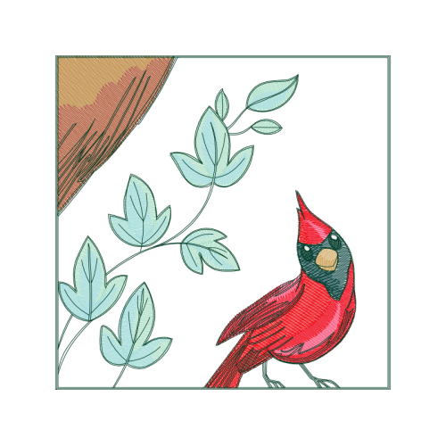 Evergreen Rose Animals Evergreen Rose Animals