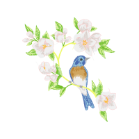 Evergreen Rose Animals