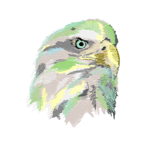 Falconiformes Animals Falconiformes Animals