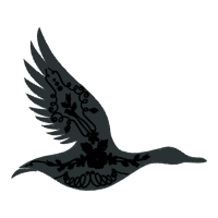 Falconiformes Animals Falconiformes Animals