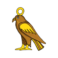 Falconiformes Animals Falconiformes Animals