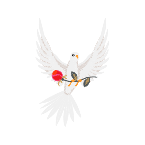 Falconiformes Animals Falconiformes Animals