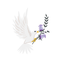 Falconiformes Animals Falconiformes Animals