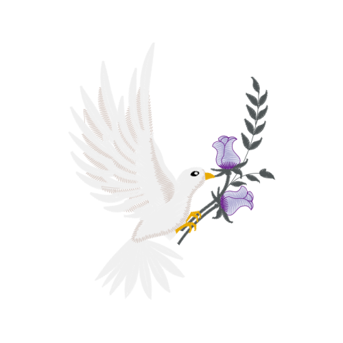 Falconiformes Animals Falconiformes Animals