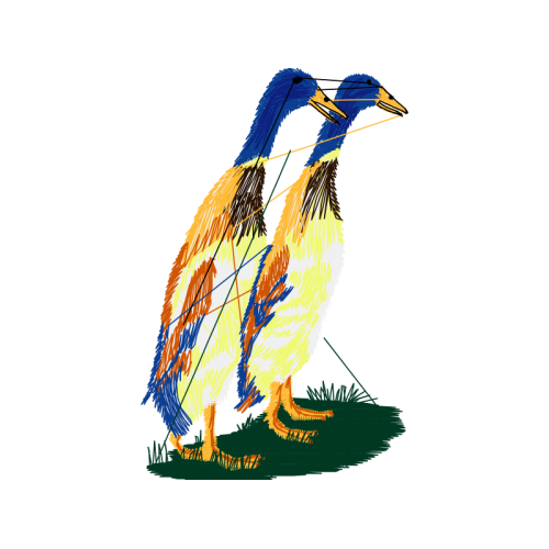 Falconiformes Animals Falconiformes Animals