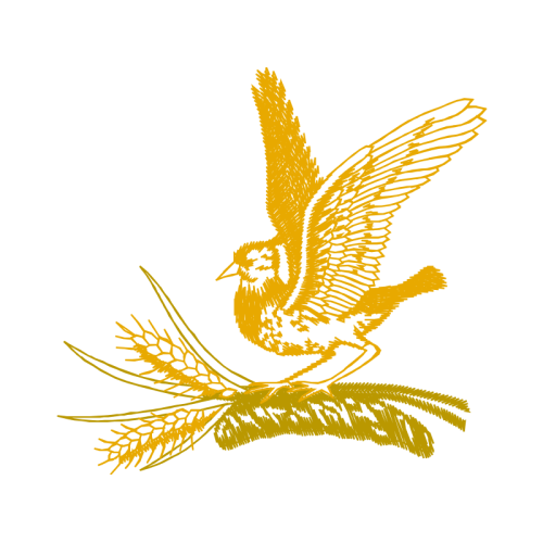 Falconiformes Animals Falconiformes Animals