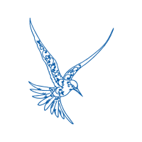 Falconiformes Animals Falconiformes Animals