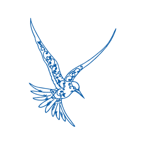 Falconiformes Animals Falconiformes Animals