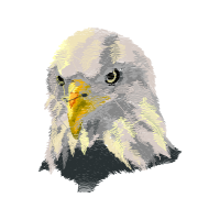 Falconiformes Animals Falconiformes Animals